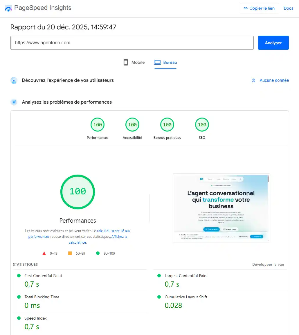 PageSpeed Score 100/100